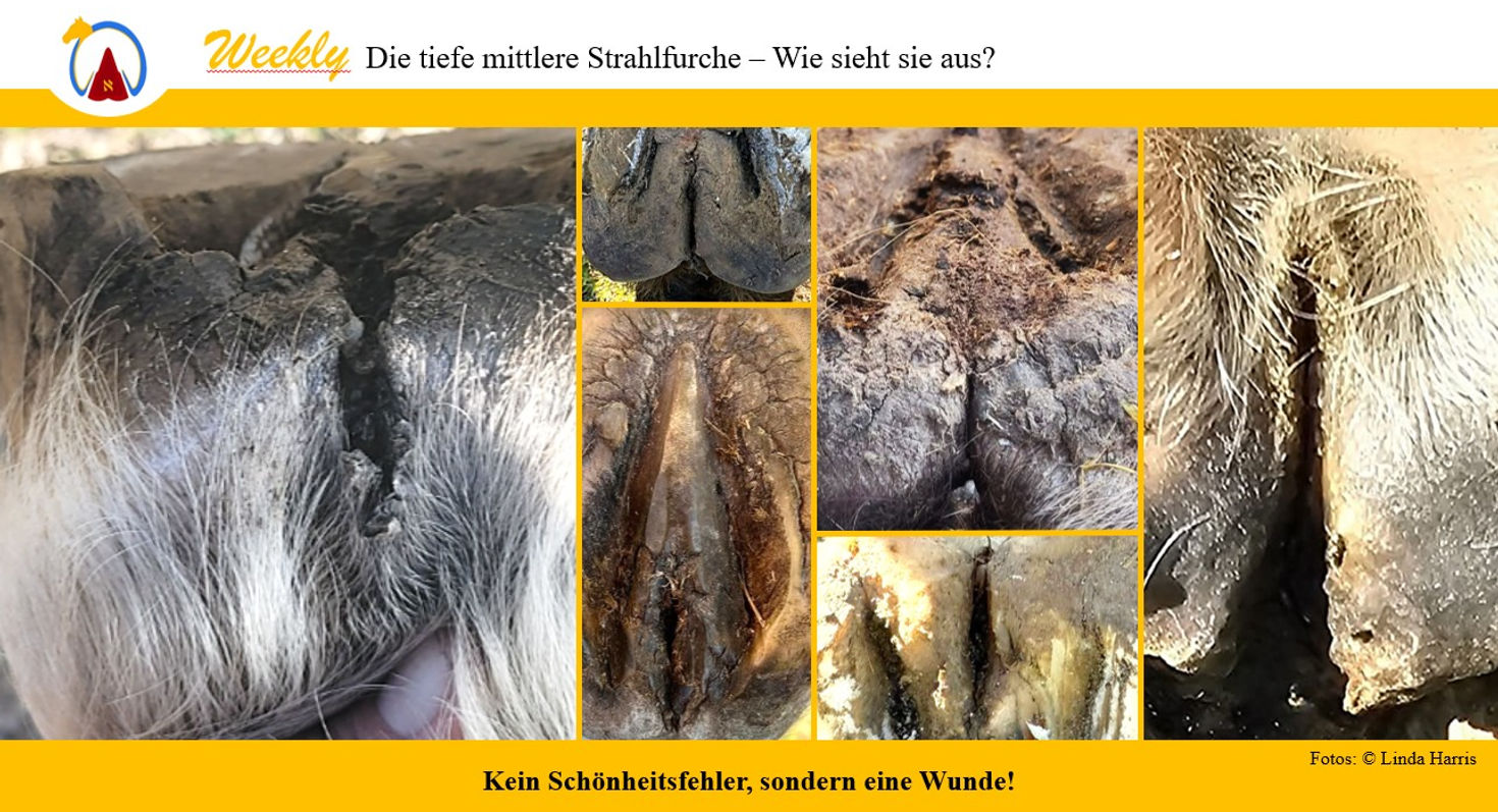 Der verborgene Schmerz